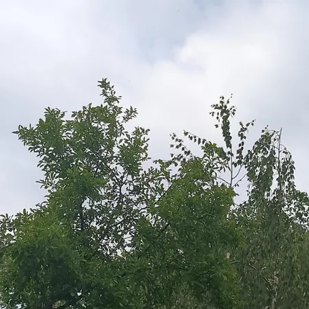 Apartman Liloi With Balcony *